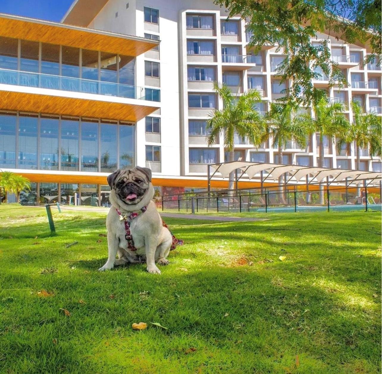 Novotel Itu Terras De Sao Jose Golf & Resort Екстер'єр фото